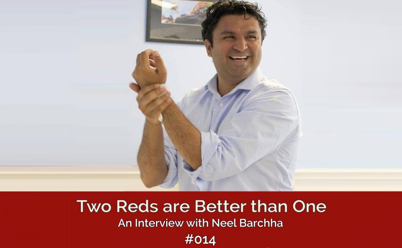 TRBO SEASON #002 EPISODE #014  – An interview with Neel Barchha